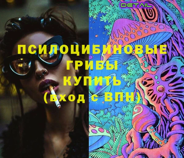 эйфоретик Гусь-Хрустальный